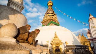 【ネパール】カトマンズ盆地を一望の仏教寺院モンキーテンプルの絶景