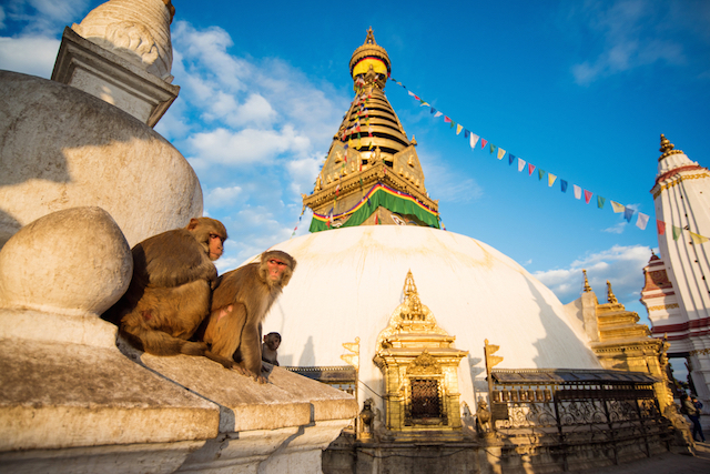 【ネパール】カトマンズ盆地を一望の仏教寺院モンキーテンプルの絶景