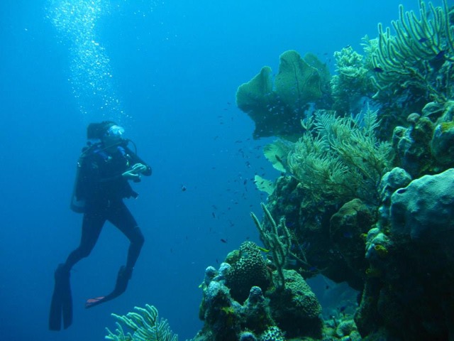 ダイビングし放題！サンゴ礁が美しいホンジュラスのプライベートアイランド