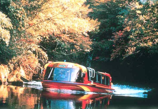 【福井】360度の展望が美しい！秋の三方五湖は紅葉の絶景スポット