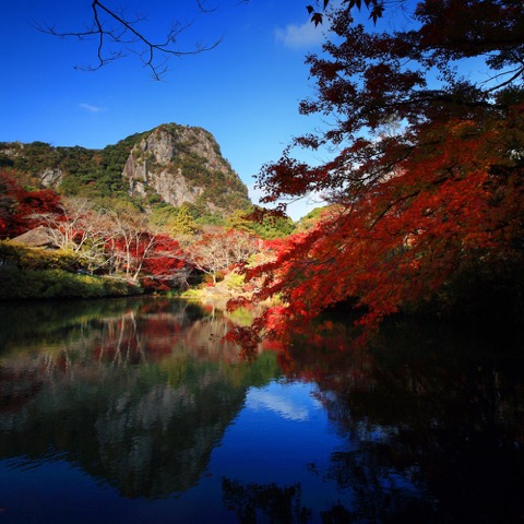 誰もが驚く圧巻、感動の景色。九州の知られざる紅葉の名所「御船山楽園」