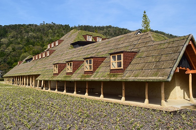まるでジブリの世界！ファンタジックな緑の屋根のカフェ「ラ コリーナ近江八幡」