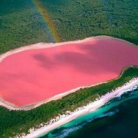 ピンク色に包まれたオーストラリアの幻想的な湖「ヒリヤー湖」