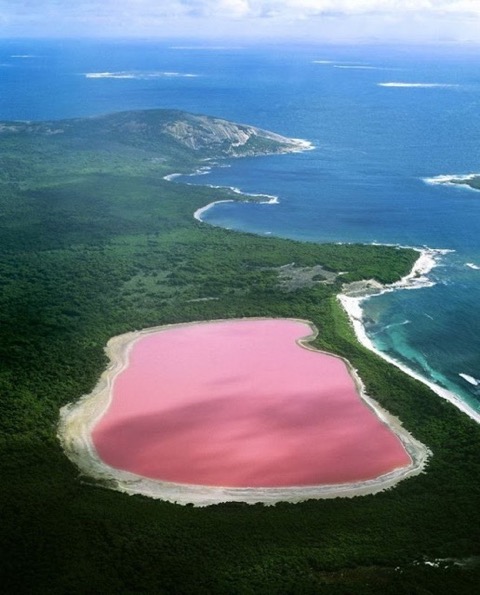ピンク色に包まれたオーストラリアの幻想的な湖「ヒリヤー湖」