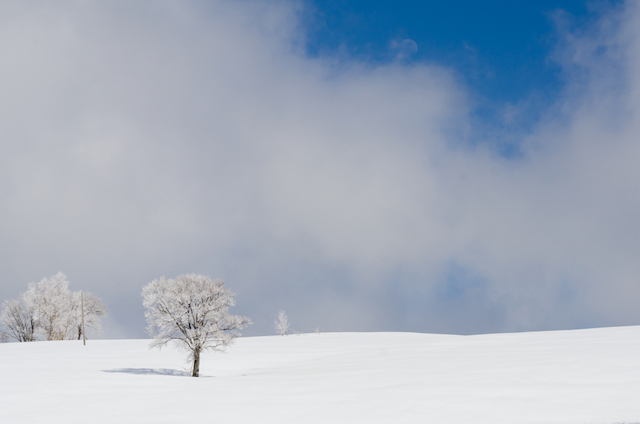 【日本の雪景色】心が真っ白になる旅がしたい