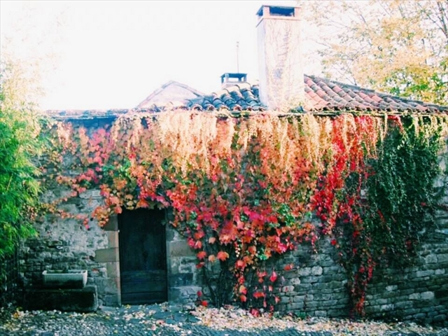 フランス・スペイン珠玉の田舎町～フランスで最も美しい村へ～