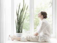 睡眠で健康に！質の高い眠りをサポートしてくれる8つの植物