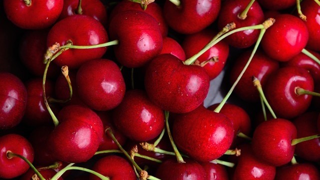 在住者イチオシ！サンフランシスコから日帰りで行ける、格安のフルーツ