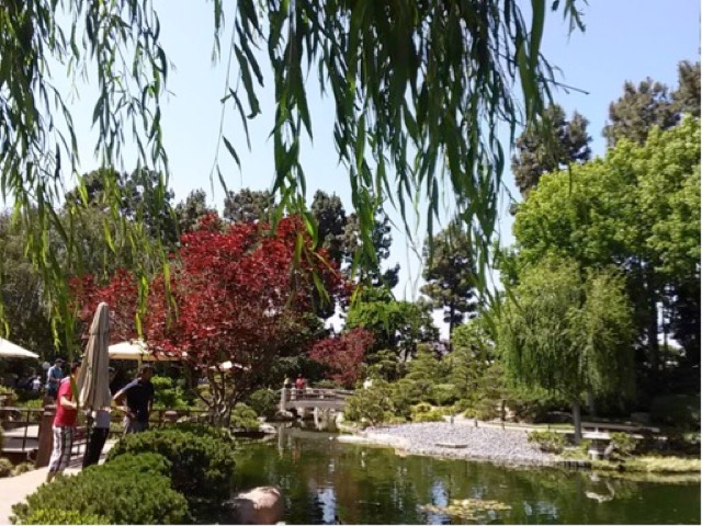  アメリカで日本庭園を楽しむ