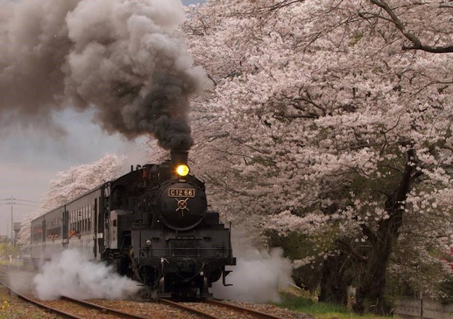 春は始まりと終わりの季節、栃木の温泉でパワーチャージを！