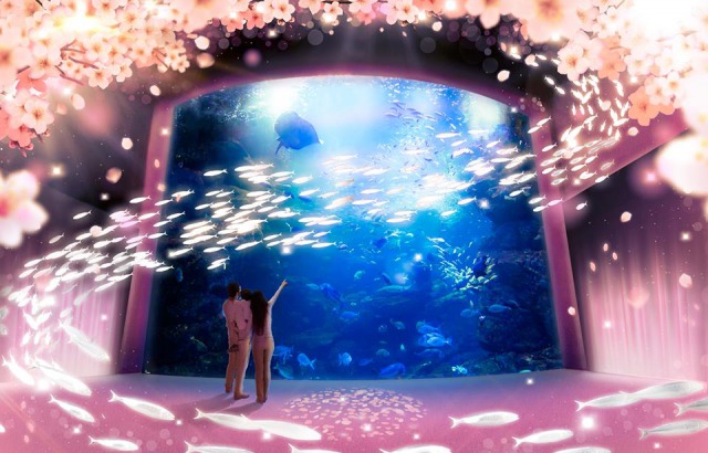 【都内あり】水族館と桜の豪華コラボが楽しめる夢のようなイベント