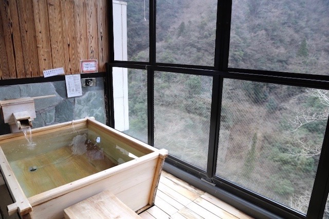 【祖谷温泉】日本三大秘湯！１日９組限定、渓谷美がすごすぎる隠れ宿