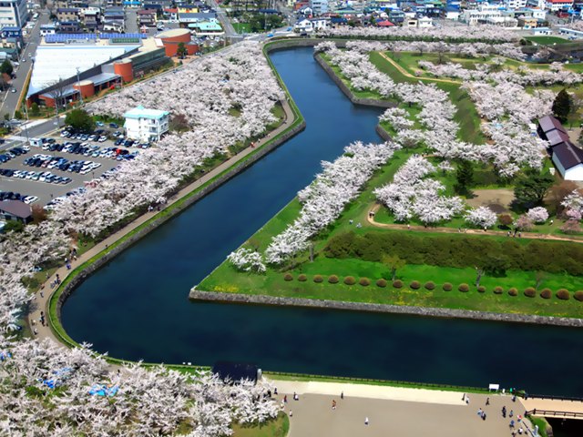 ５月まで桜が見られる北海道！新幹線で行くお花見＆グルメ＆温泉