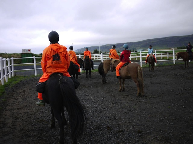 【アイスランド】かわいすぎる馬に乗って訪れる、温泉と大自然に癒される旅