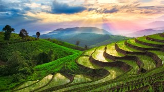 世界の旅行者が注目！タイの京都「チェンマイ」を訪ねる癒しの旅