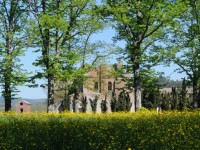 夏草に埋もれる夢の跡、廃墟となった修道院が美しすぎる