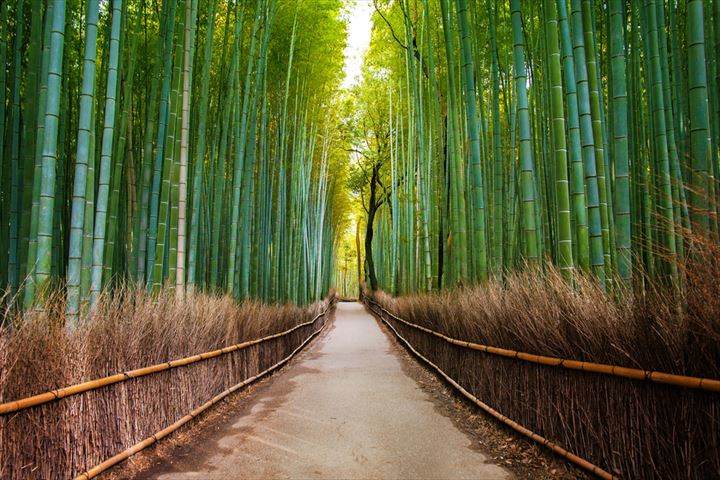 【連載】ひとり旅で行きたい！京都パワースポット巡りの旅