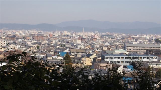 【京都】極楽へ行く数と同じ階段をのぼる。鈴虫寺の幸福地蔵菩薩