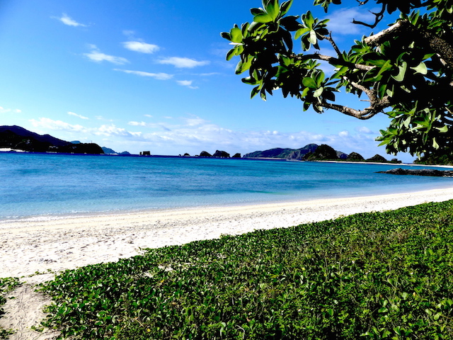 「世界が恋する海」が見たい！今年、座間味島に行くべき５つの理由