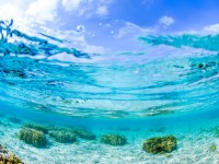 「世界が恋する海」が見たい！今年、座間味島に行くべき５つの理由