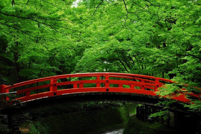 京都 青もみじが美しい 初夏に訪れたい 京都の神社仏閣５選 Tabizine 人生に旅心を