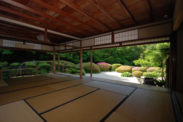 【京都】青もみじが美しすぎる！京都の神社仏閣・5つ