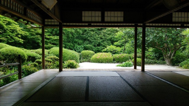 【京都】青もみじが美しすぎる！京都の神社仏閣・5つ