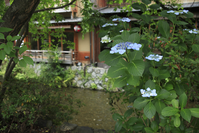初夏の京都、行ってみたい新緑のカフェめぐり