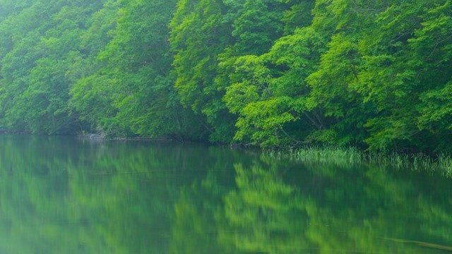 橋本 まどか Madokahashi7ntt On Flipboard