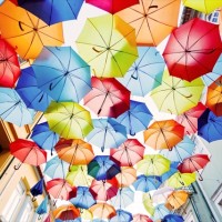今日の絶景ヒトコト【５３】雨がふる、傘をさす
