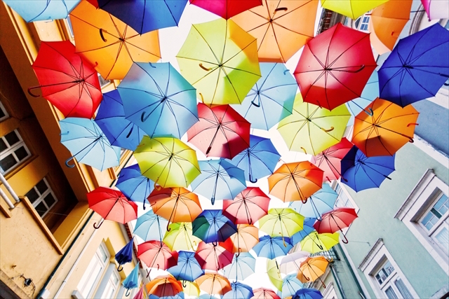 今日の絶景ヒトコト【５３】雨がふる、傘をさす