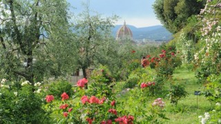 ガイドブックにはのっていない、フィレンツェの秘密の花園「ジャルディーノ・デッレ・ローゼ」