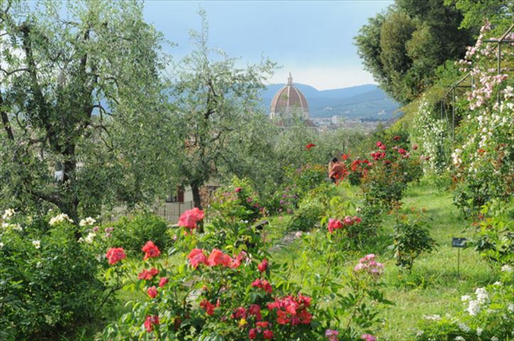 ガイドブックにはのっていない、フィレンツェの秘密の花園「ジャルディーノ・デッレ・ローゼ」