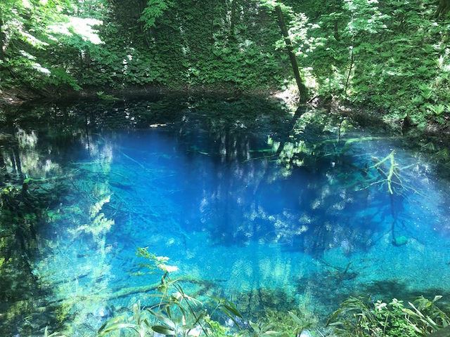 【世界遺産】白神山地の十二湖　ミステリアスブルーの青池