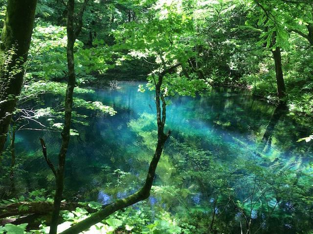 【世界遺産】白神山地の十二湖　ミステリアスブルーの青池