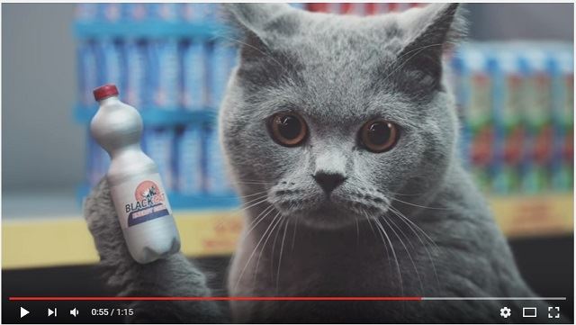 【ドイツ】スーパーマーケットCMで超かわいい猫ちゃんたちが大人気！