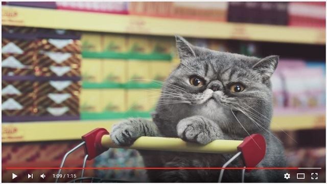 【ドイツ】スーパーマーケットCMで超かわいい猫ちゃんたちが大人気！