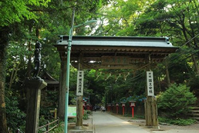 東京の夜景を見ながら、大自然の中でビール。高尾山ビアマウントで夏を満喫