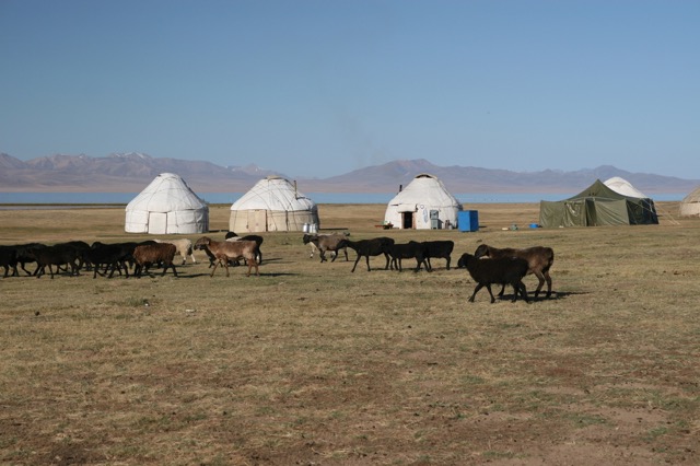【国土の8割が草原の国】モンゴルってどんなところ？