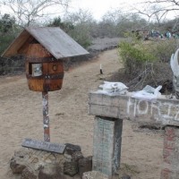 届くかどうかは運次第。旅人が手紙を運ぶガラパゴス諸島の無人郵便局