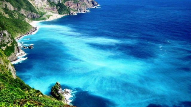 27時間40分かけても行きたい！手つかずの自然が残る「母島」の魅力
