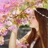 大切にしたい、日本の伝統色５色～英語で説明するのが難しい！～