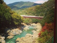 伝統と自然美を体験できる、京都保津川下り