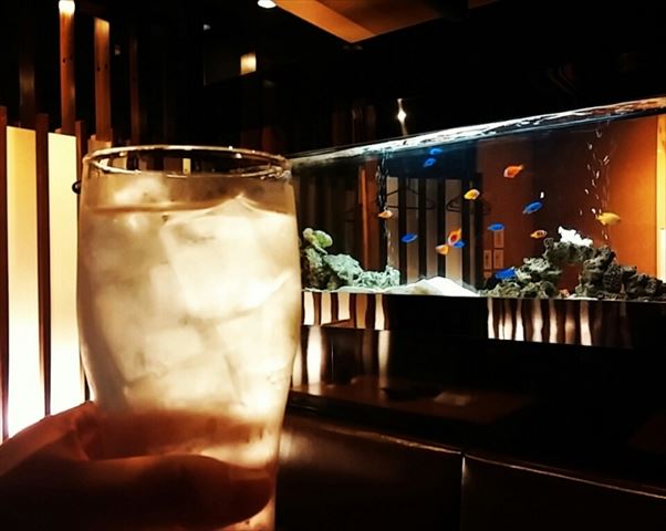 【恵比寿】名古屋コーチンが美味い。アクアリウム的居酒屋「地鶏小町」