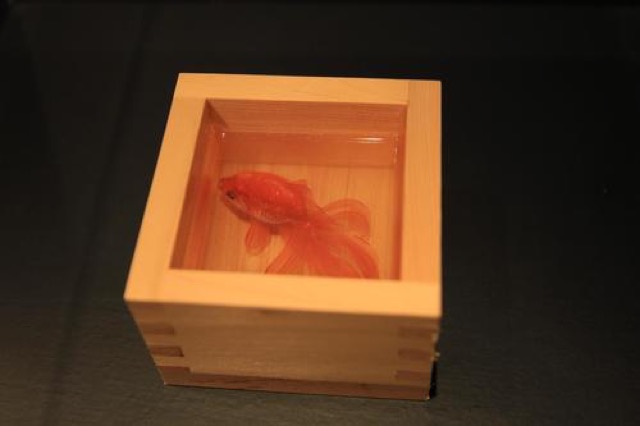 期間限定！横浜スカイビルで美しい金魚が空を舞う作品展開催中