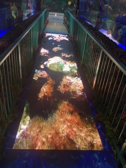 【ラスベガス】水槽と植物が美しい。ベラッジオ植物園を散歩