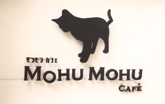 【タイ】かわいさに悶絶♡地元で大人気の猫カフェ