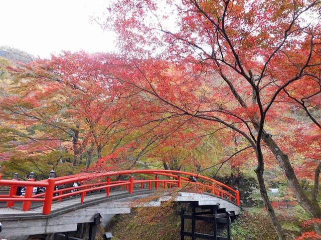 ほっこり秋の恋旅　伊香保温泉と紅葉ライトアップ
