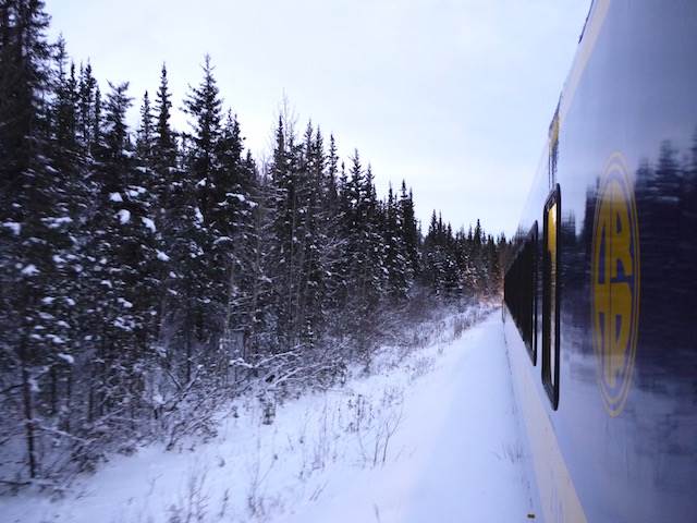雄大な大自然を体感！一度は乗りたいアラスカ鉄道の旅