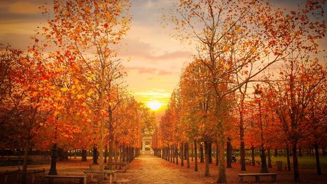 秋の美しい風景のある パリの公園５選 Tabizine 人生に旅心を